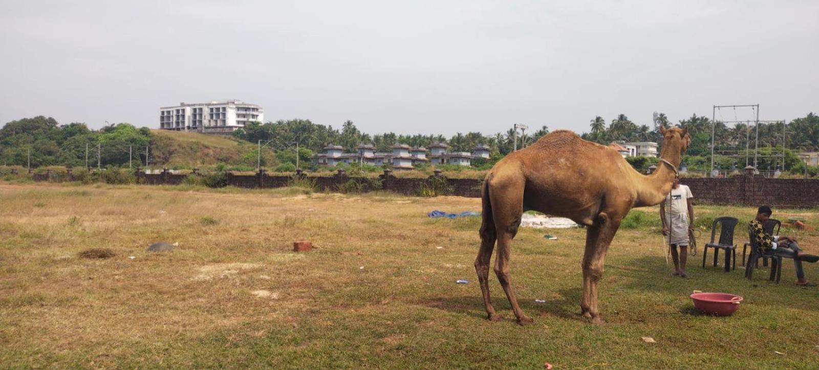 Bekal Fort Beach Resorts Bekal Town Exterior foto